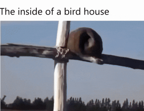 GIFparade CLIX GP159_29 