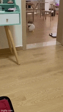 GIFparade CLIX GP159_31 