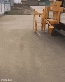 GIFparade CLIX GP159_35 