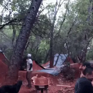 GIFparade CLX GP160_06 