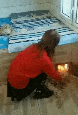 GIFparade CLX GP160_21 