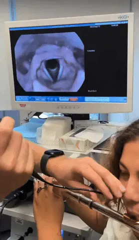 GIFparade CLX GP160_26 