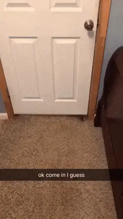 GIFparade CLX GP160_29 