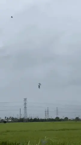 GIFparade CLX GP160_33 