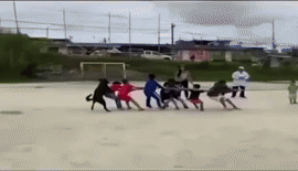 GIFparade CLX GP160_37 