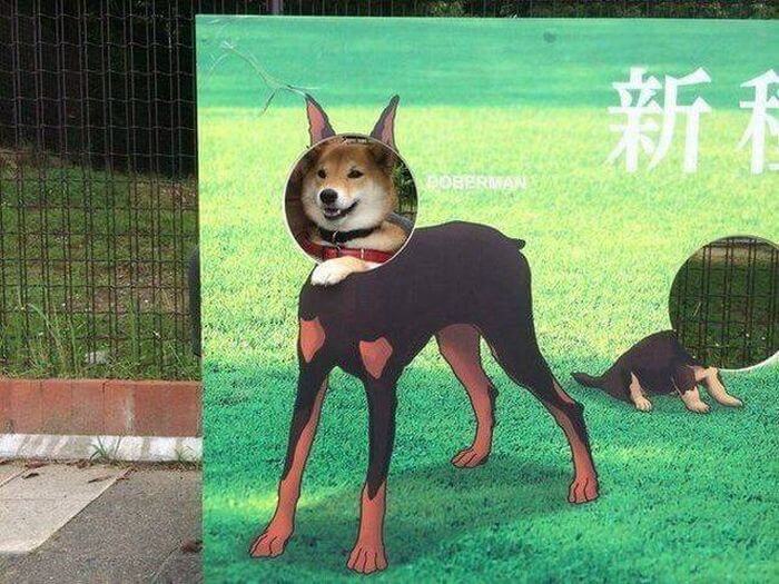 Bilderparade DCCCLXXXIX BP889_04 