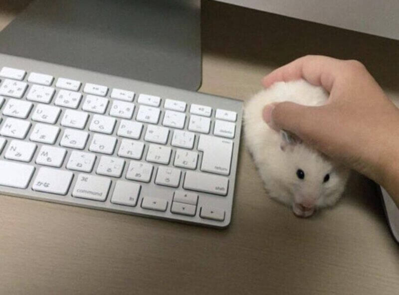 Bilderparade DCCCLXXXIX BP889_11 