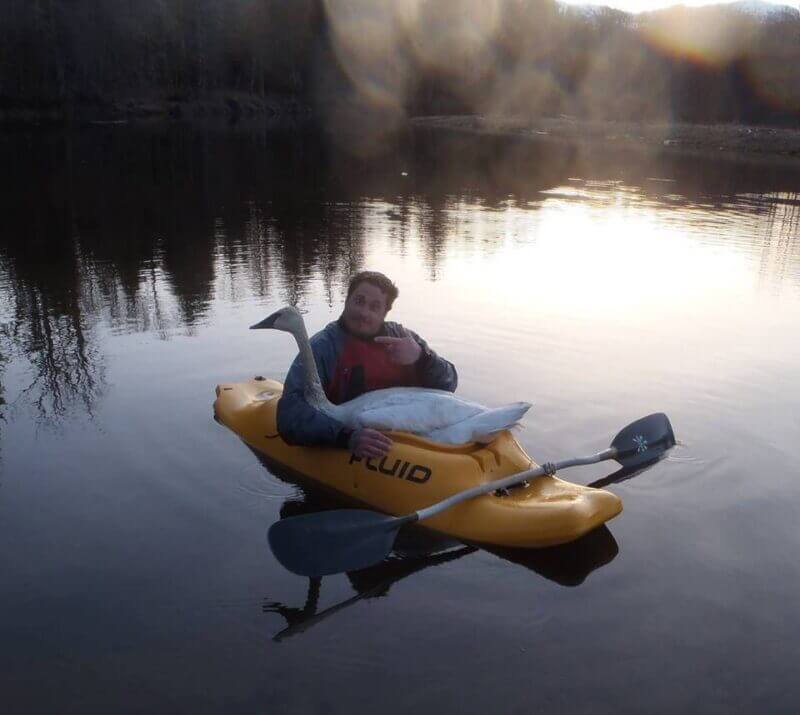 Bilderparade DCCCLXXXIX BP889_13 