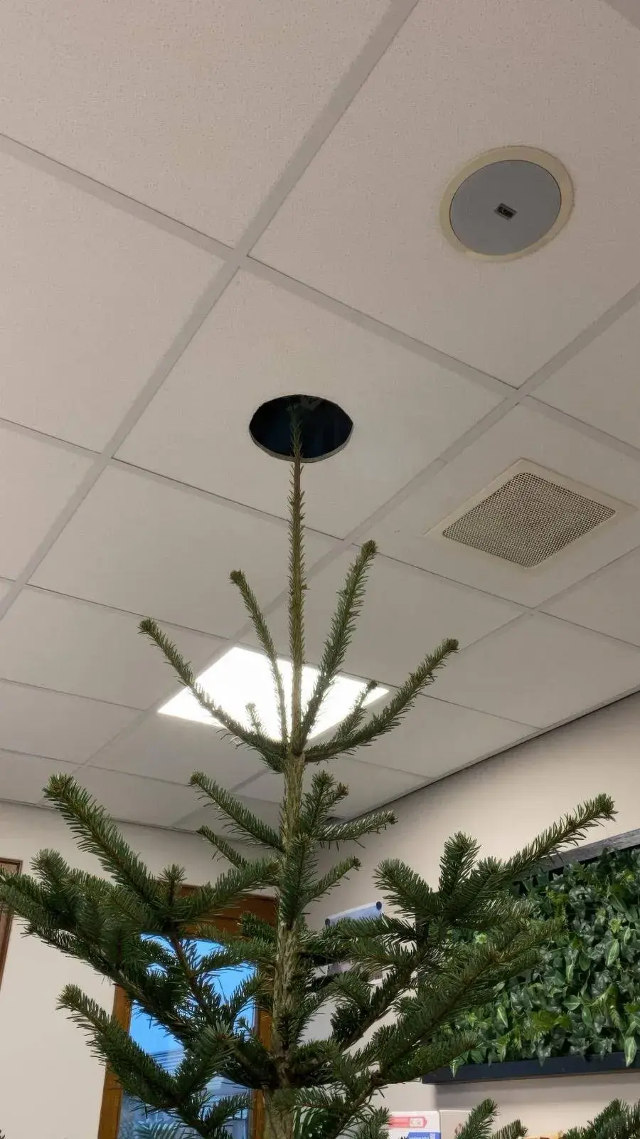 Bilderparade DCCCLXXXIX BP889_44 