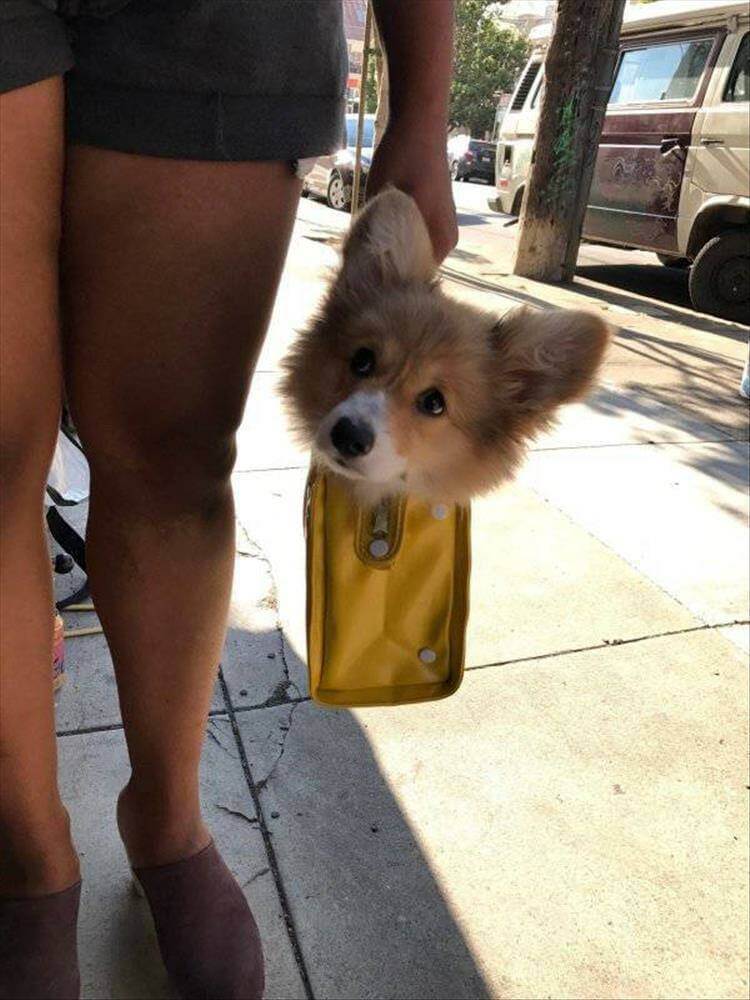 Bilderparade DCCCLXXXIX BP889_52 