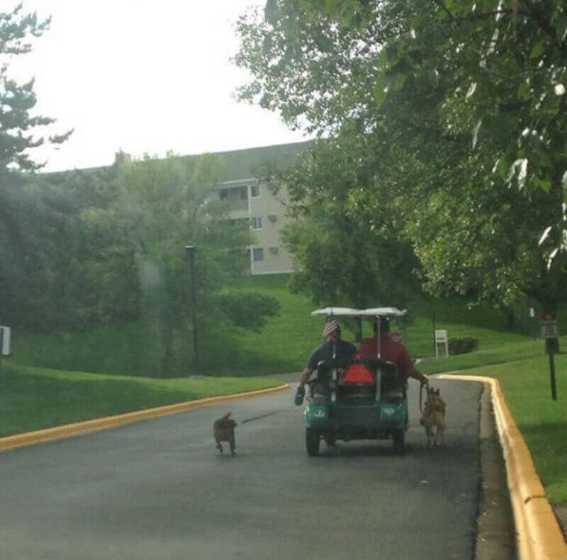 Bilderparade DCCCLXXXIX BP889_56 