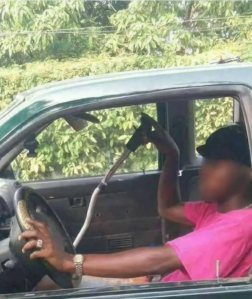 Bilderparade DCCCLXXXIX BP889_70 