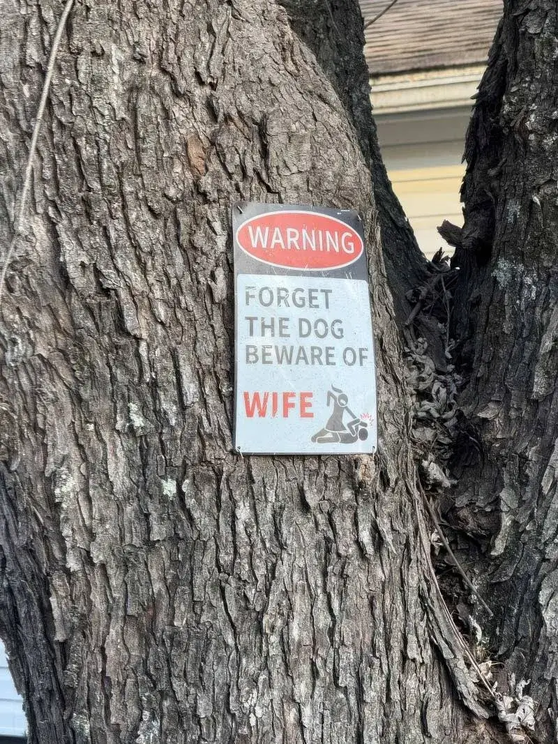 Bilderparade DCCCLXXXIX BP889_74 