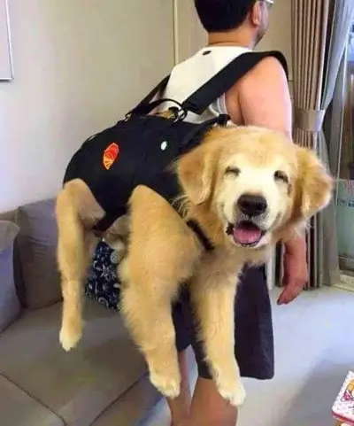 Bilderparade DCCCLXXXIX BP889_79 