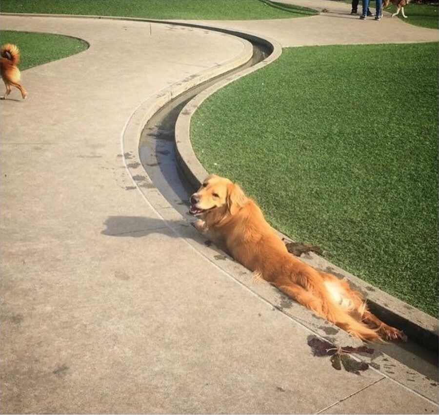 Bilderparade DCCCLXXXIX BP889_84 