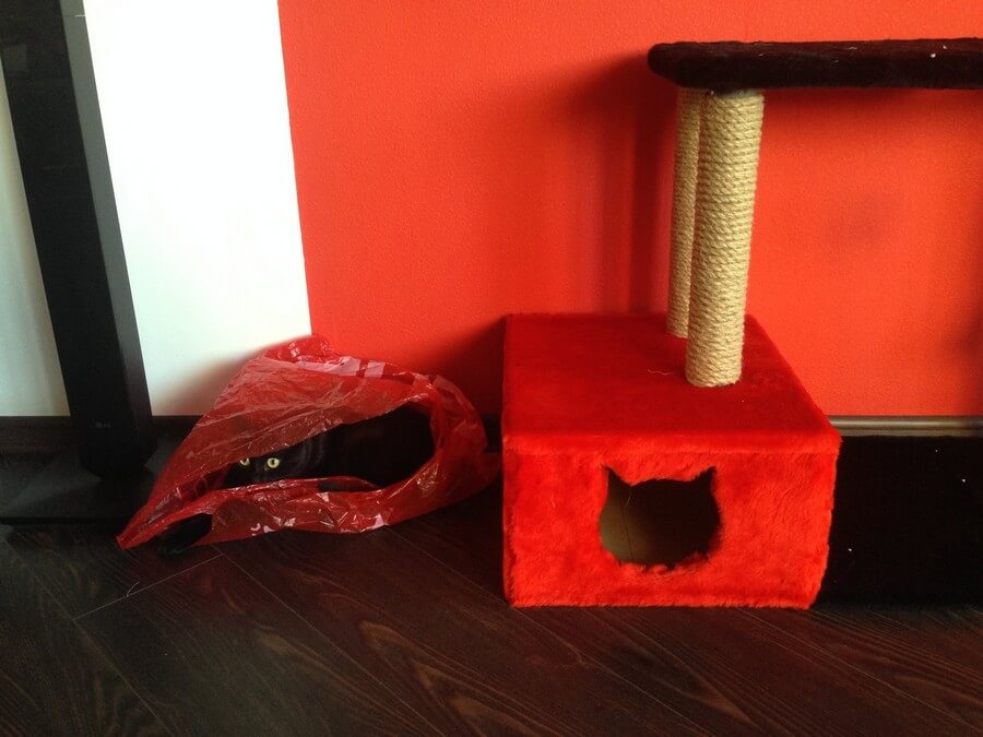 Bilderparade DCCCLXXXIX BP889_85 