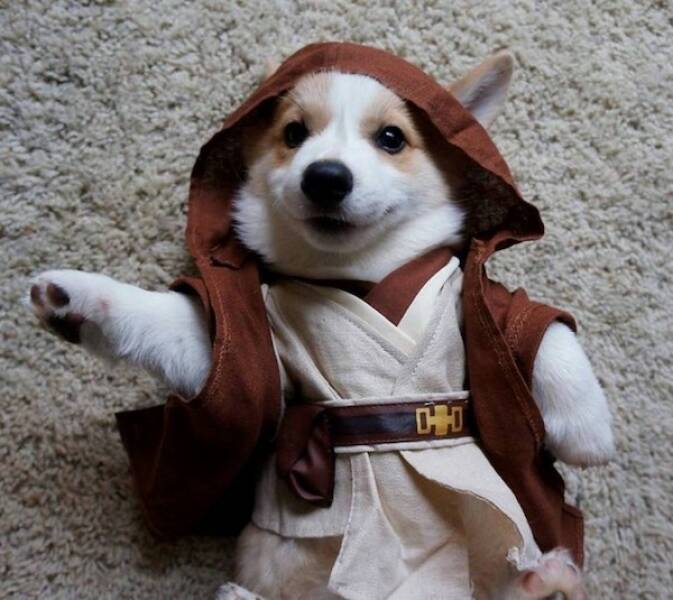 Bilderparade DCCCLXXXIX BP889_98 