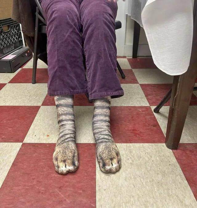 Bilderparade DCCCXC BP890_101 