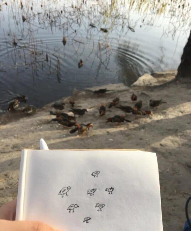 Bilderparade DCCCXC BP890_13