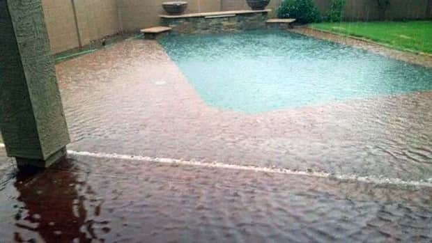 Bilderparade DCCCXC BP890_78