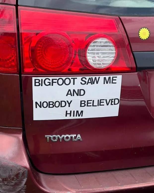 Bilderparade DCCCXC BP890_80