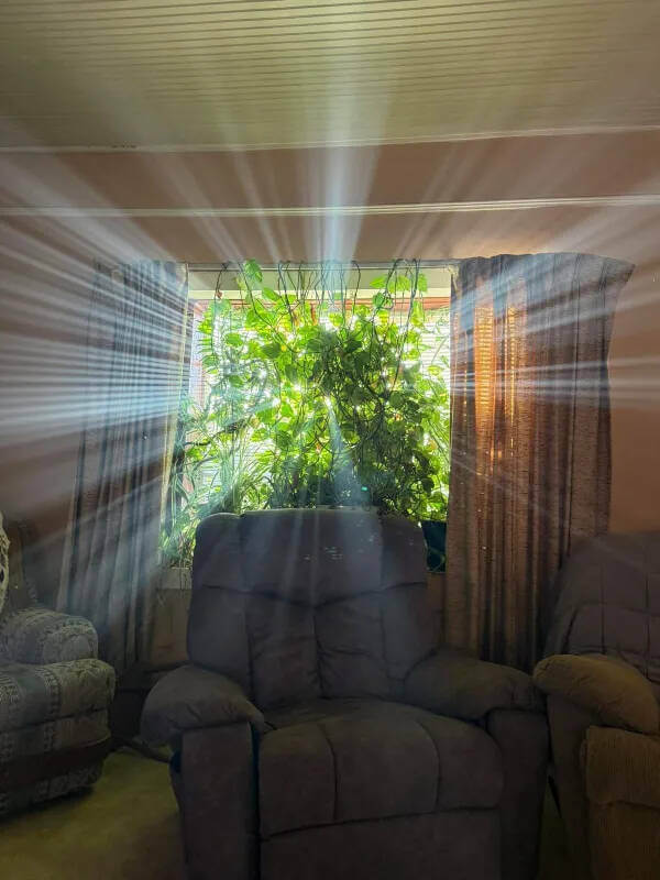 Bilderparade DCCCXC BP890_83