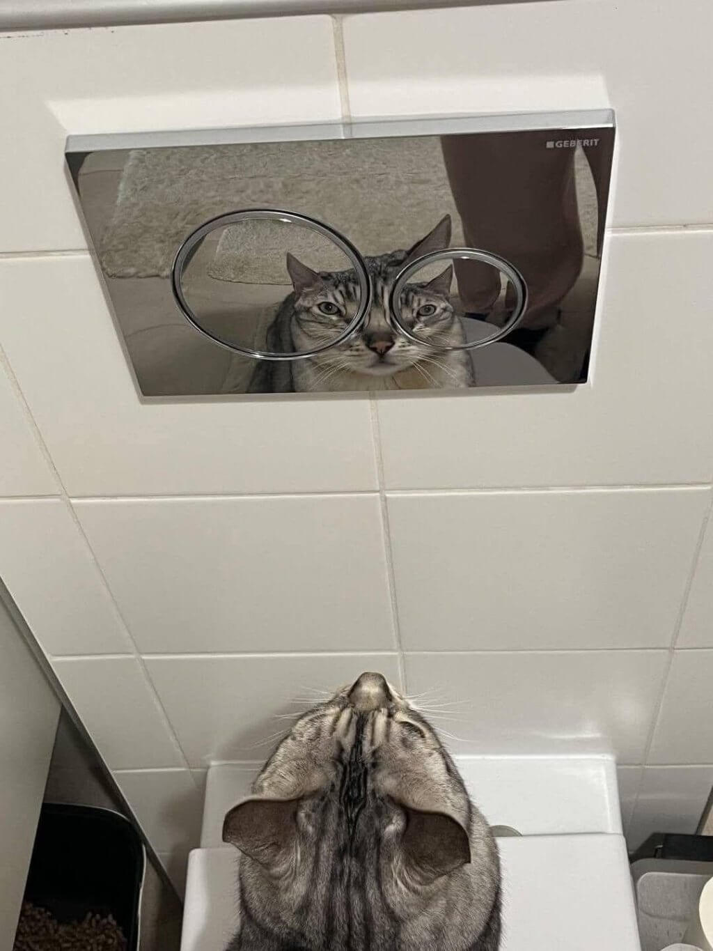 Bilderparade DCCCXC BP890_95