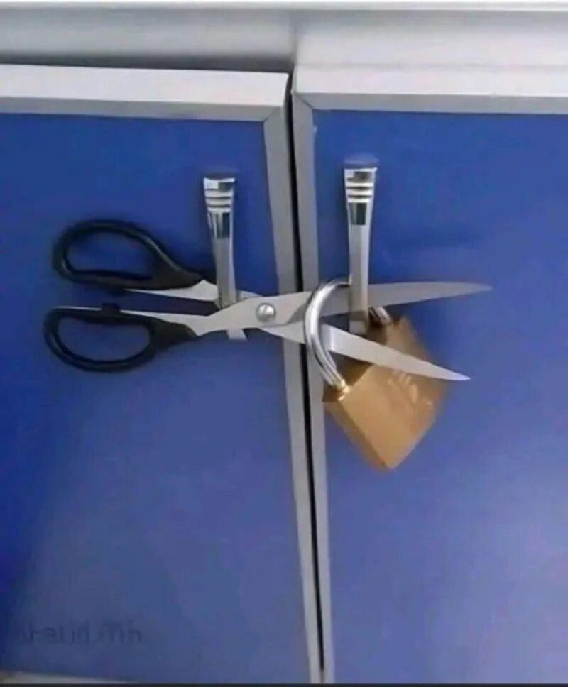 Bilderparade DCCCXCI BP891_24 