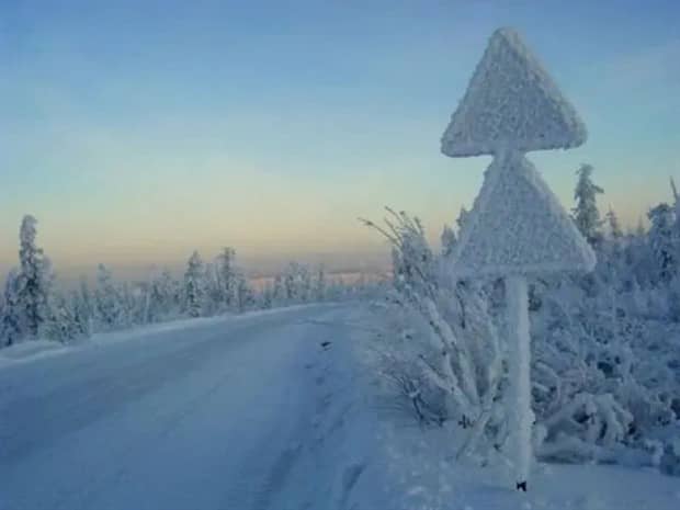 Bilderparade DCCCXCI BP891_26 