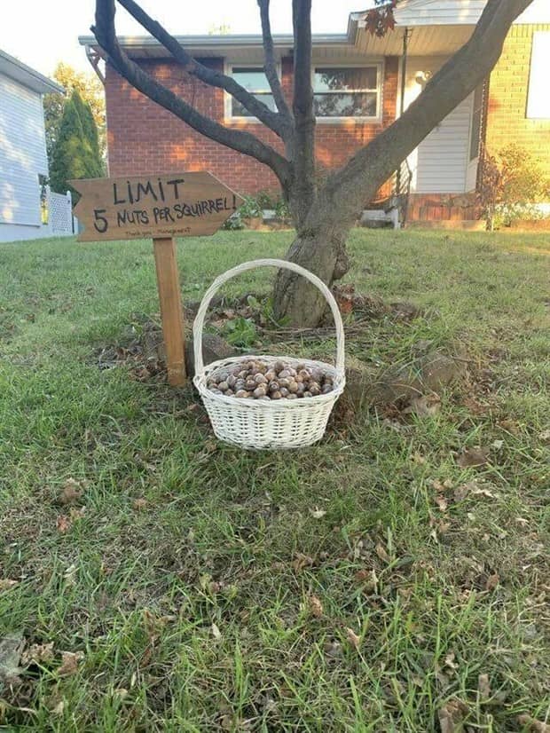 Bilderparade DCCCXCI BP891_31 