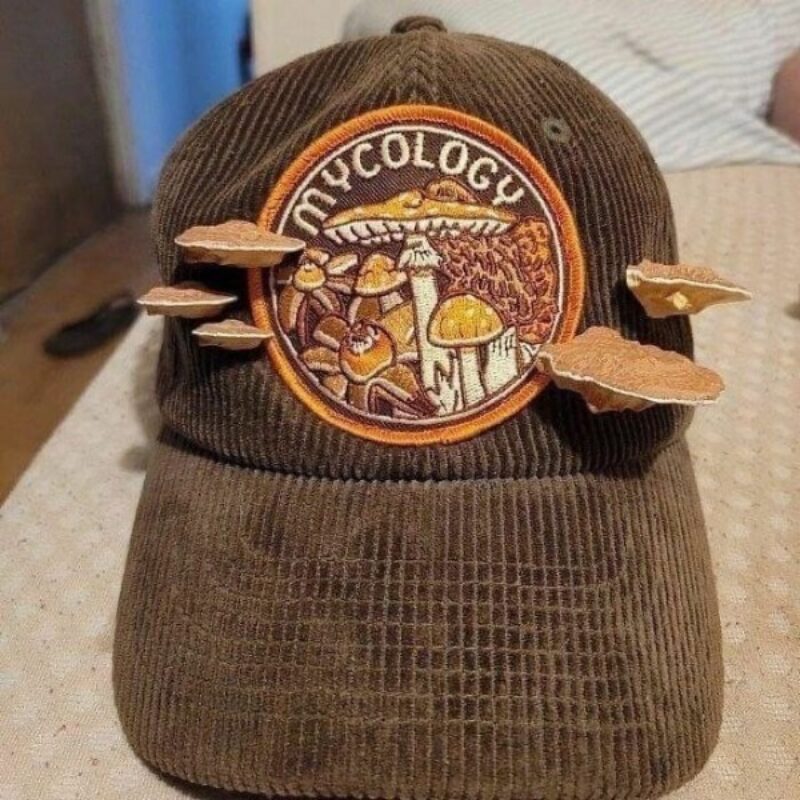 Bilderparade DCCCXCI BP891_55 