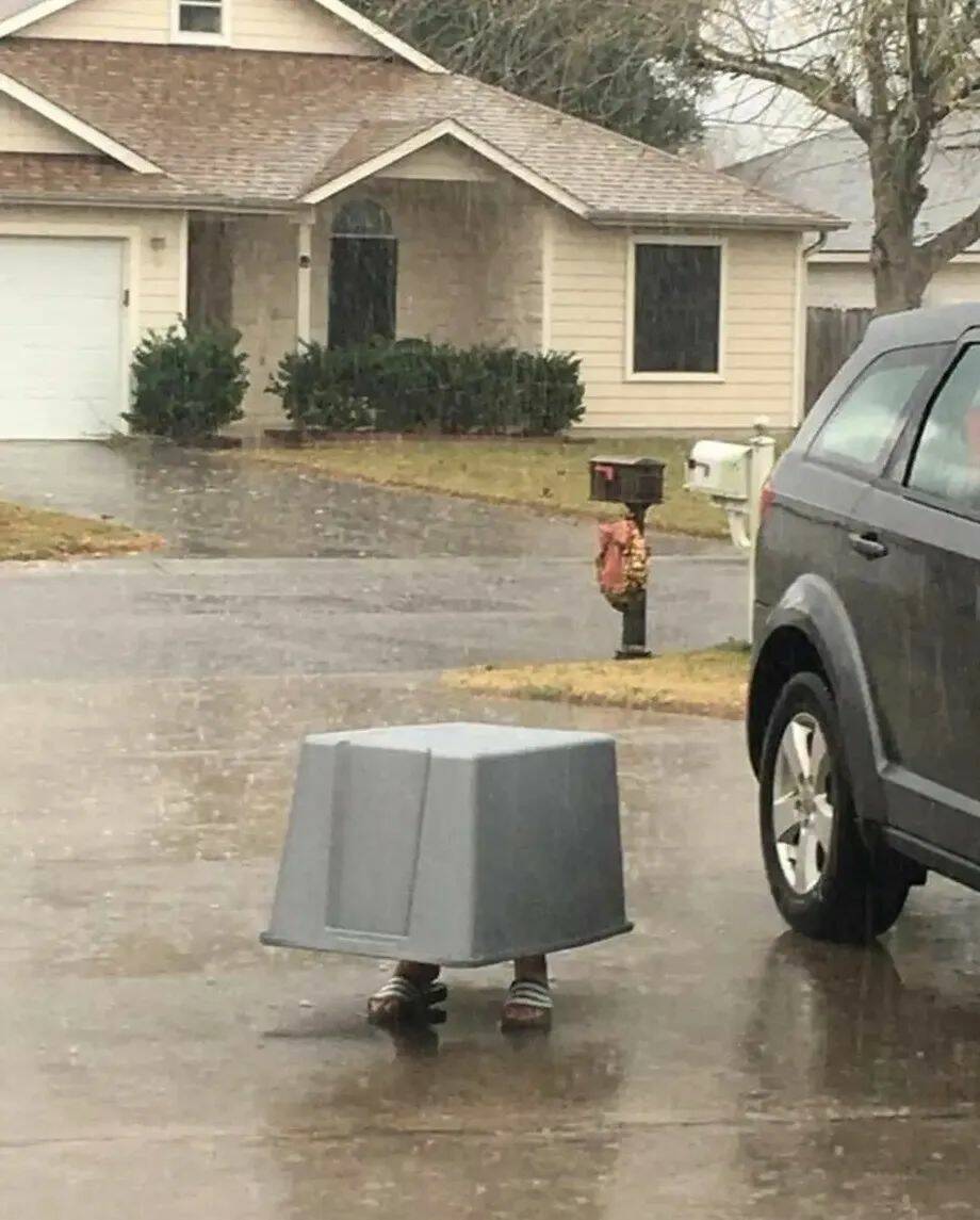 Bilderparade DCCCXCI BP891_65 