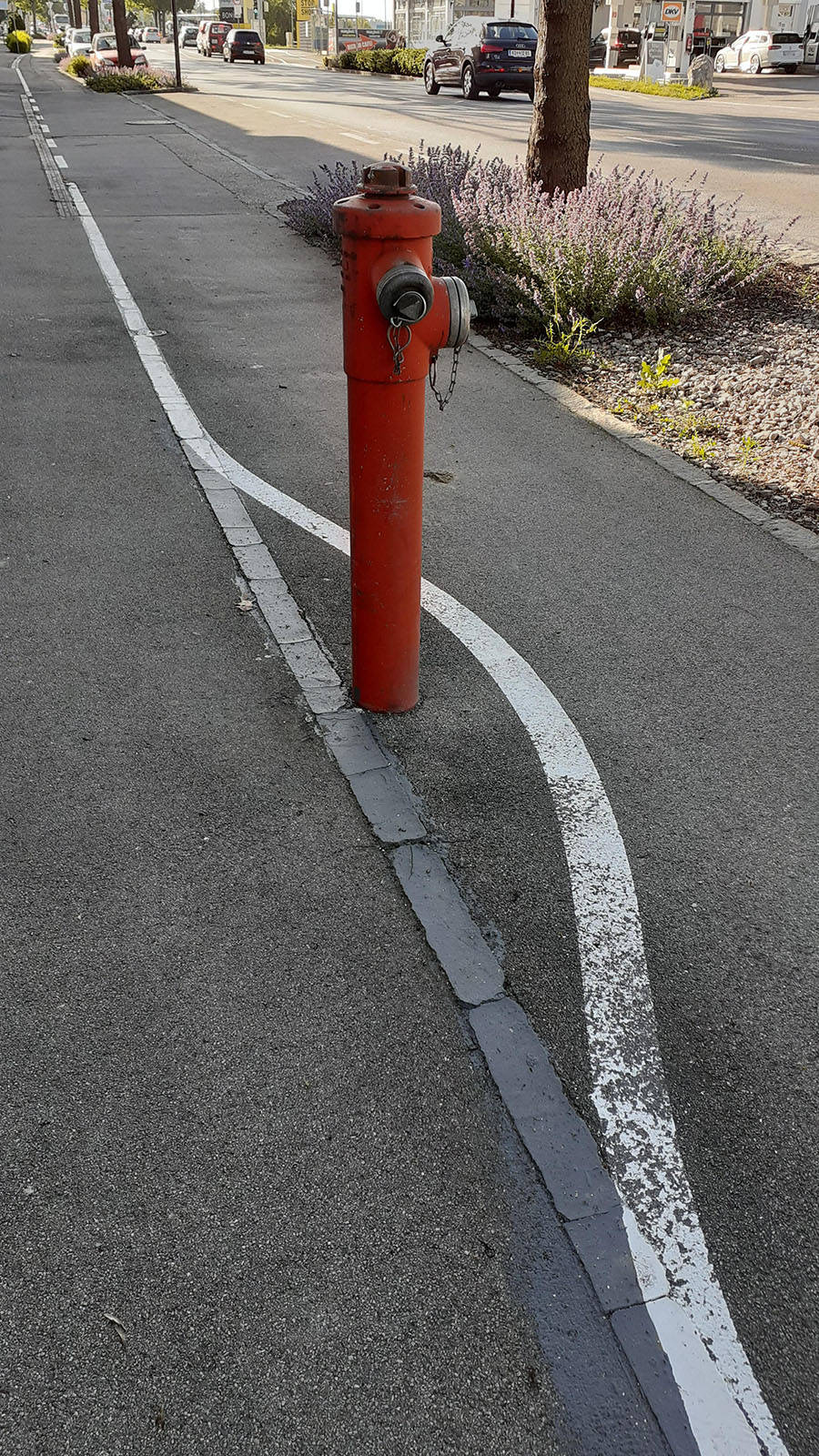 Bilderparade DCCCXCI BP891_7 