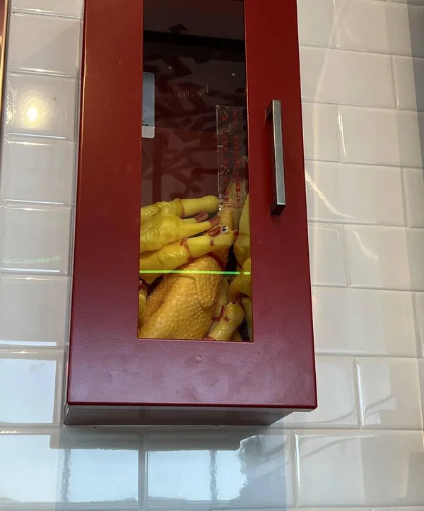 Bilderparade DCCCXCI BP891_73 