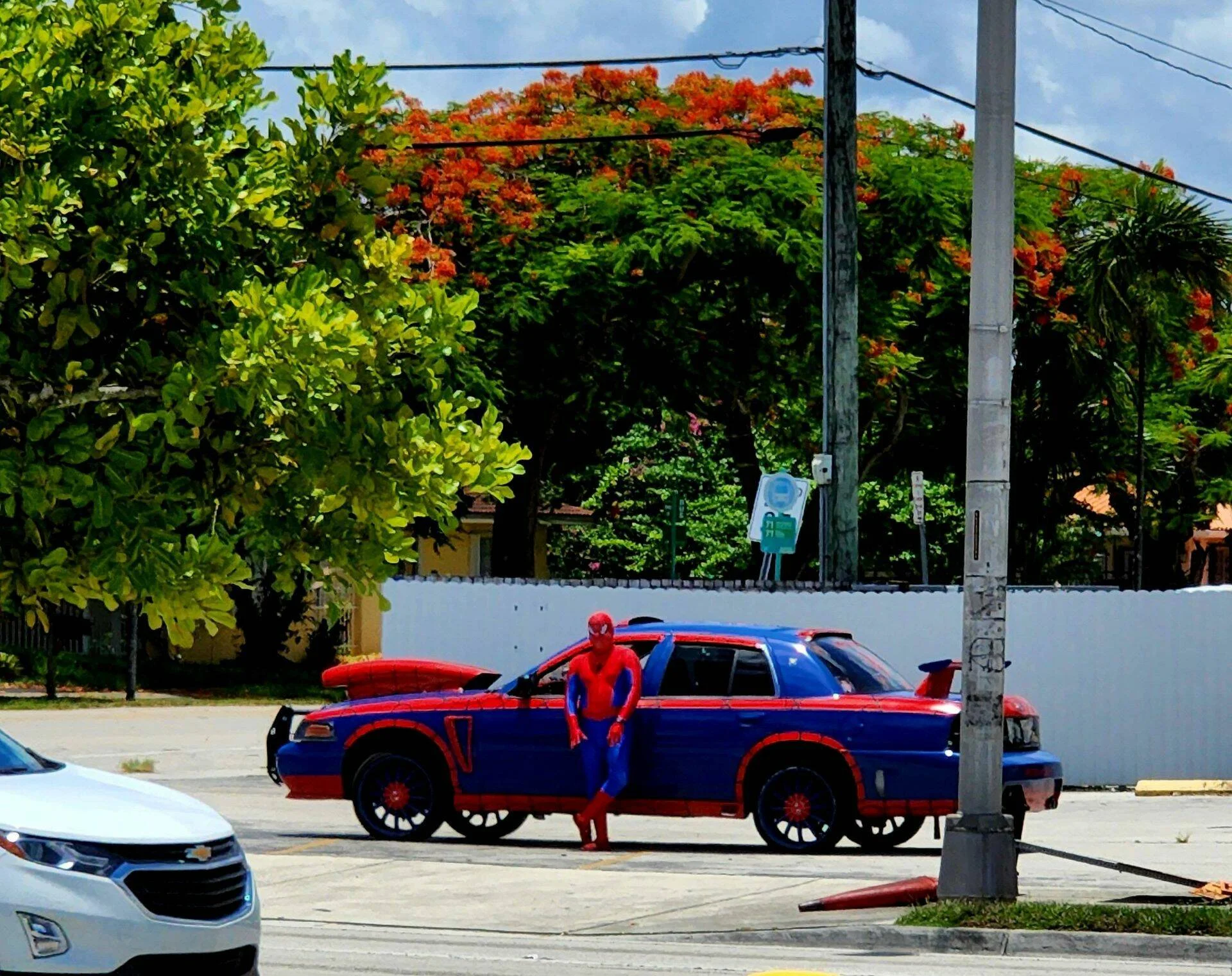 Bilderparade DCCCXCI BP891_79