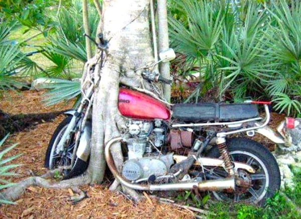 Bilderparade DCCCXCI BP891_80