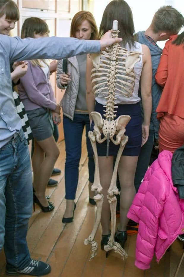 Bilderparade DCCCXCI BP891_84