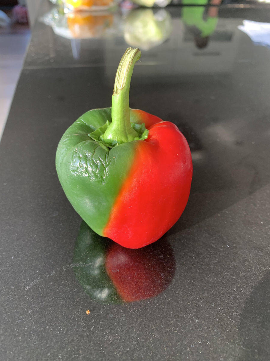 Bilderparade DCCCXCI BP891_98