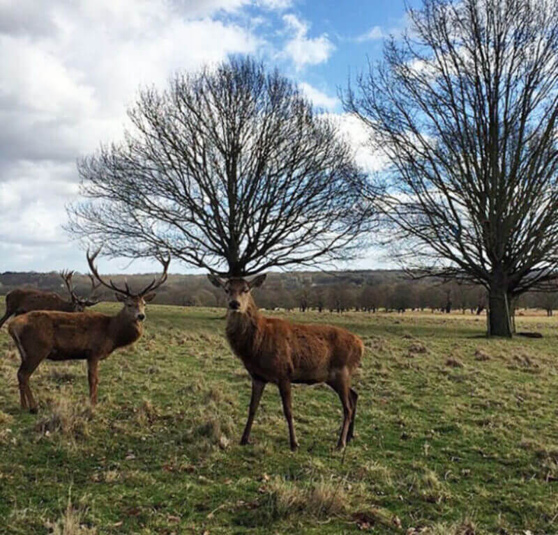 Bilderparade DCCCXCII BP892_18 