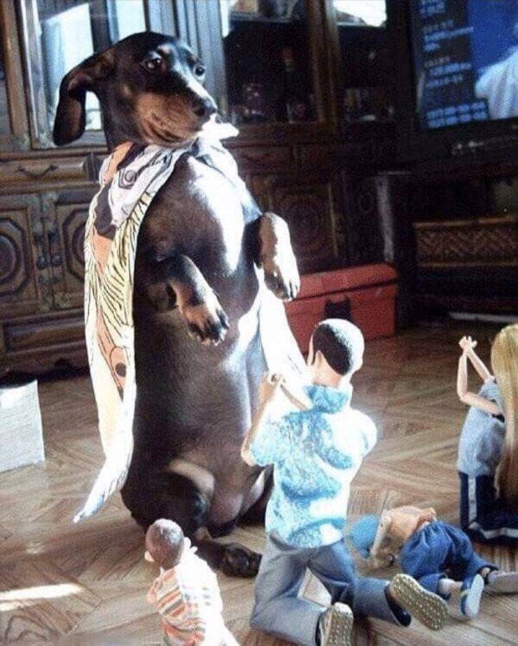 Bilderparade DCCCXCII BP892_26 