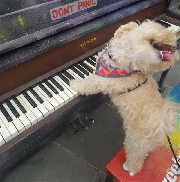 Bilderparade DCCCXCII BP892_38 