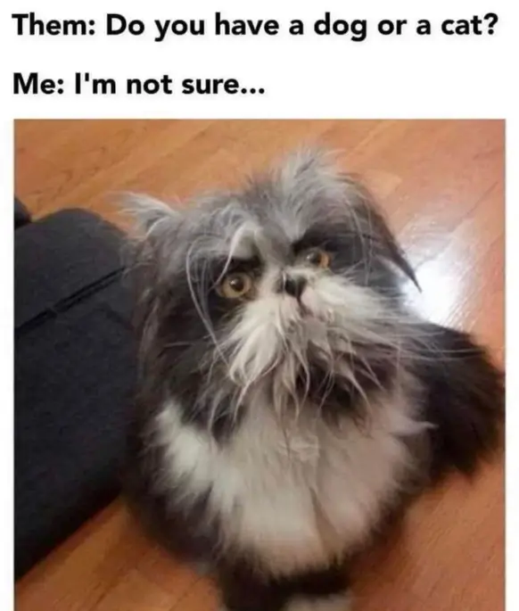 Bilderparade DCCCXCII BP892_78 