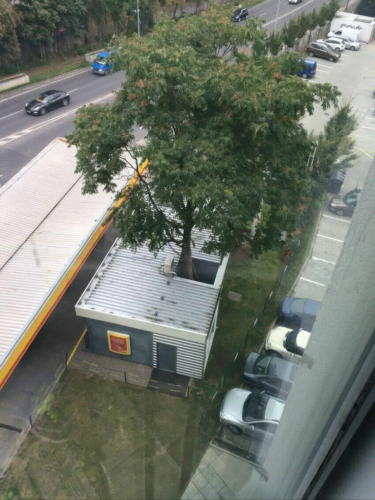 Bilderparade DCCCXCII BP892_91 