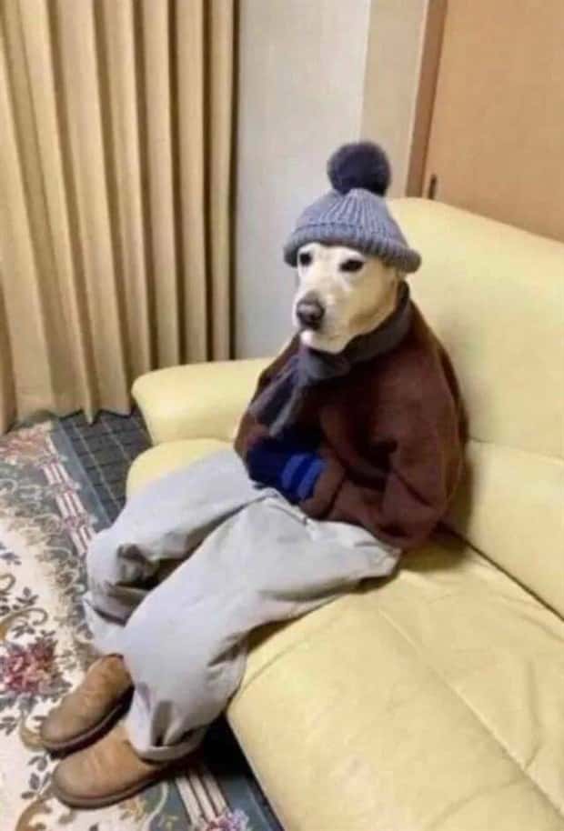 Bilderparade DCCCXCIII BP893_27 