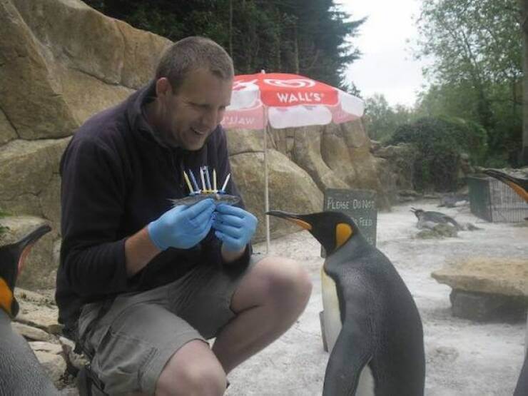 Bilderparade DCCCXCIII BP893_28 