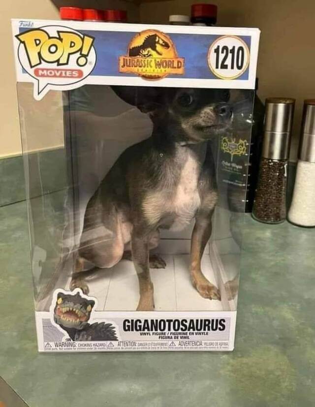 Bilderparade DCCCXCIII BP893_34 