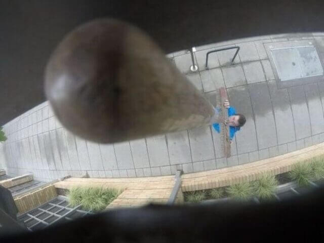 Bilderparade DCCCXCIII BP893_64 