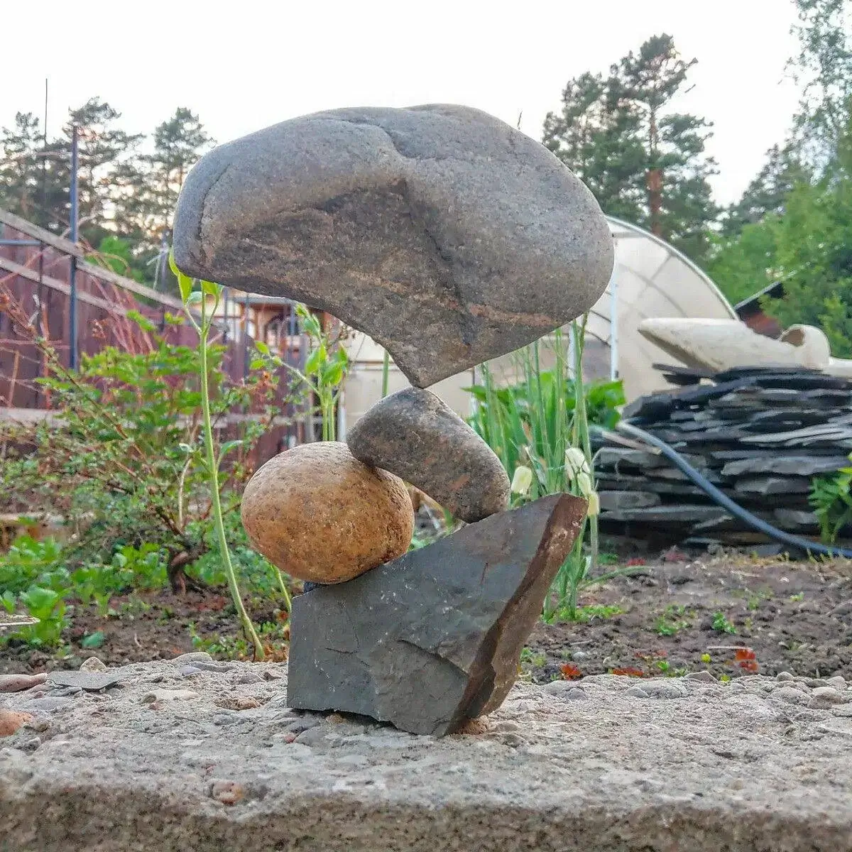 Bilderparade DCCCXCIII BP893_68 