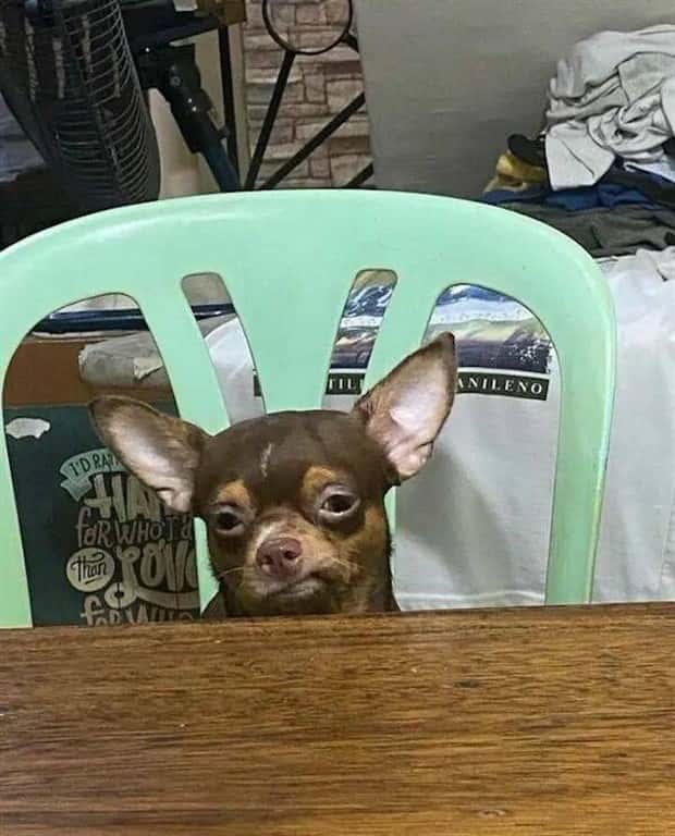 Bilderparade DCCCXCIII BP893_71 