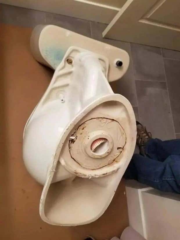 Bilderparade DCCCXCIII BP893_74 